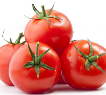 Tomato